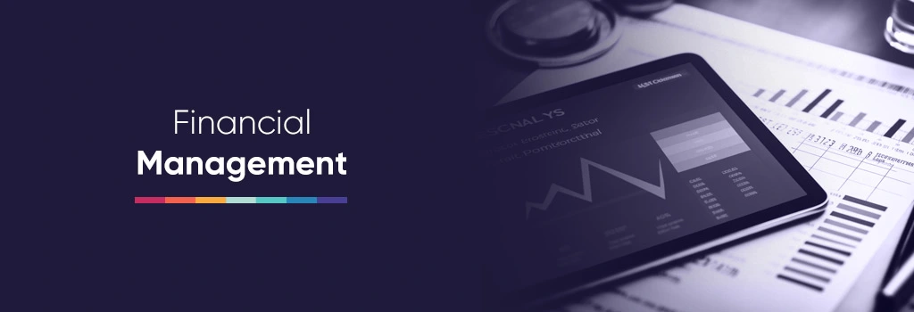 Financial Management for assessing performance of an IT manager - Key Factors to Consider