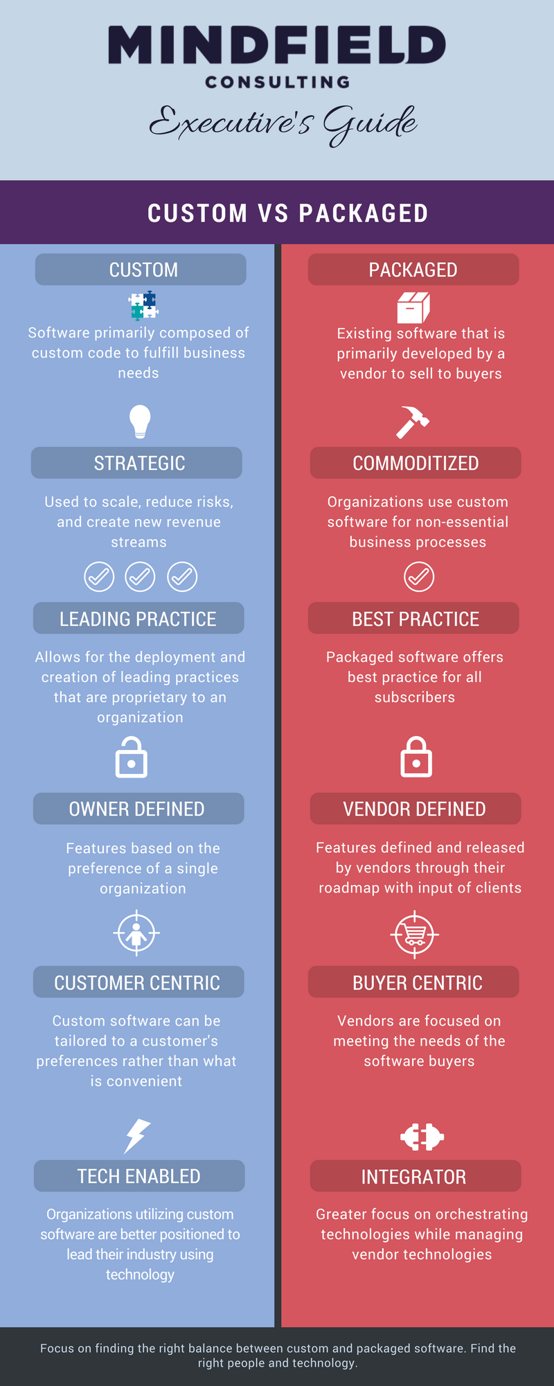 Infographic on advantages disadvantages of custom software