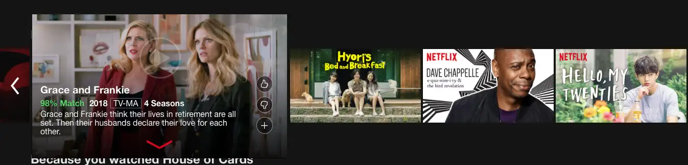Netflix software interface