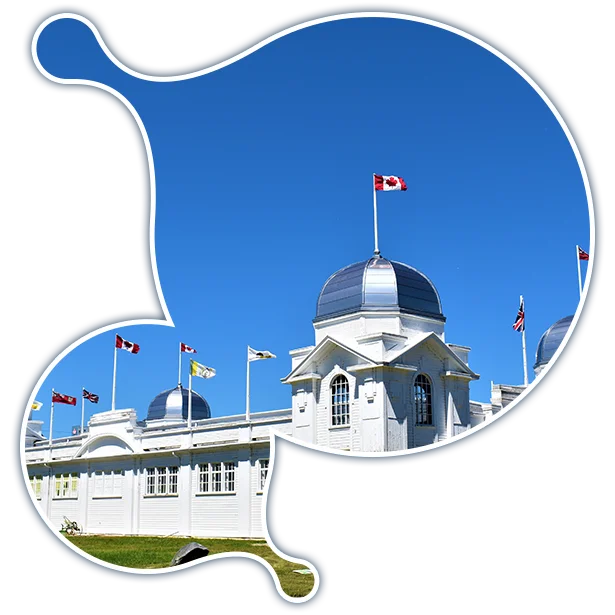 barndon-it-services-fractional-cio-services Moodle Consulting Services in Brandon
