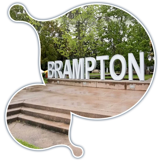 expert Moodle development services in Brampton
