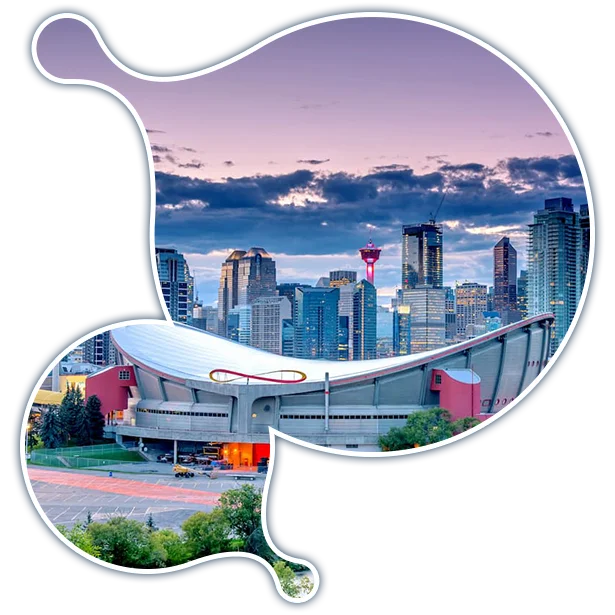 calgary-it-services-fractional-cio-services expert Moodle development services in Calgary