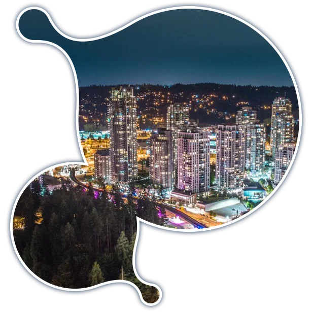 coquitlam-it-services-fractional-cio-services expert Moodle development services in Coquitlam