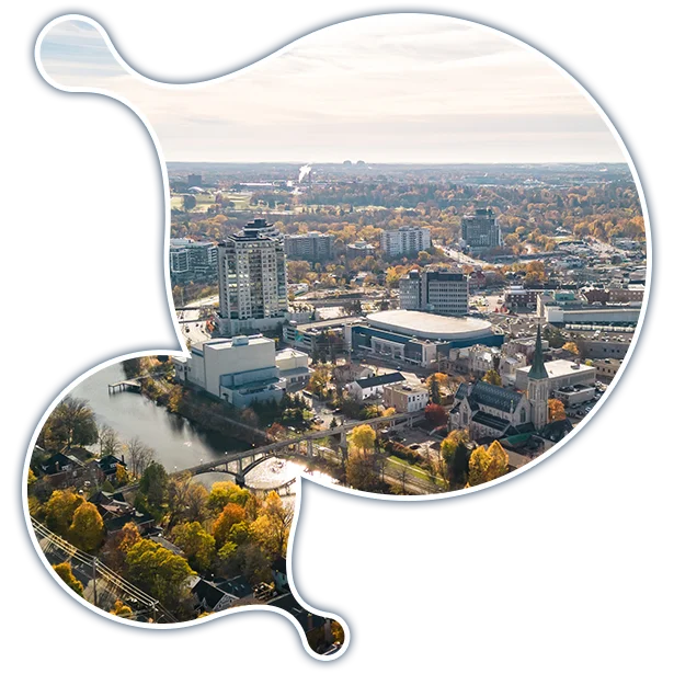 guelph-it-services-fractional-cio-services expert Moodle development services in Guelph