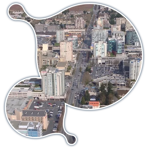 richmond-it-services-fractional-cio-services expert Moodle development services in Richmond