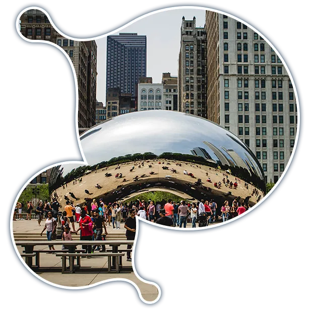 expert-moodle-developer-chicago expert-moodle-developer-chicago