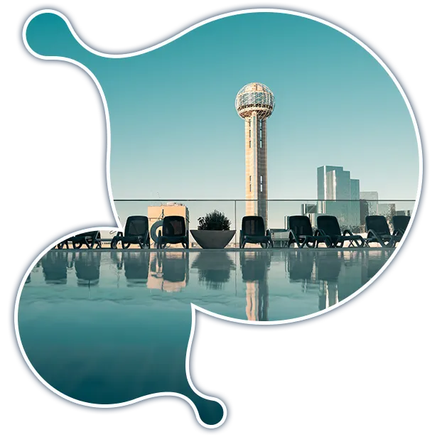 expert-moodle-developer-dallas