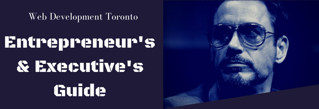 Entrepreneur’s and Executive’s Guide to Web Development Toronto