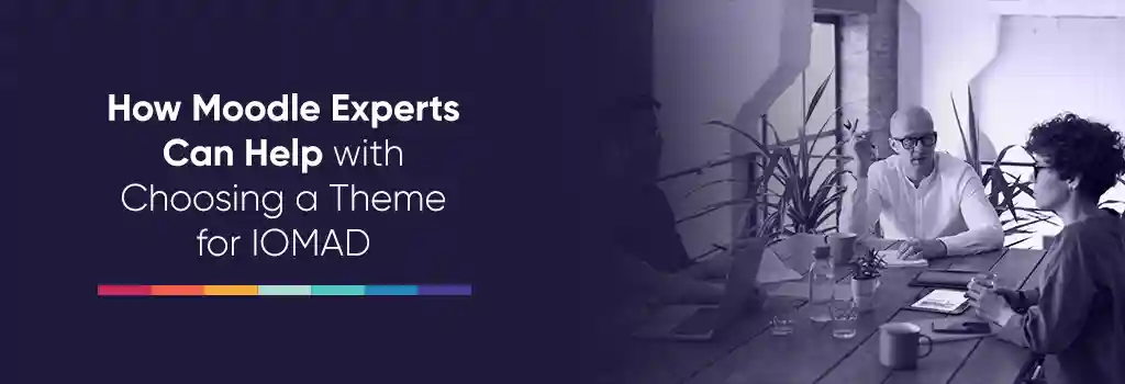 consultant meeting with the client - Top Moodle Themes for Moodle IOMAD